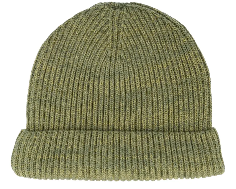 Dedicated Beanie Lofoten Ty Leaf Green Cuff online