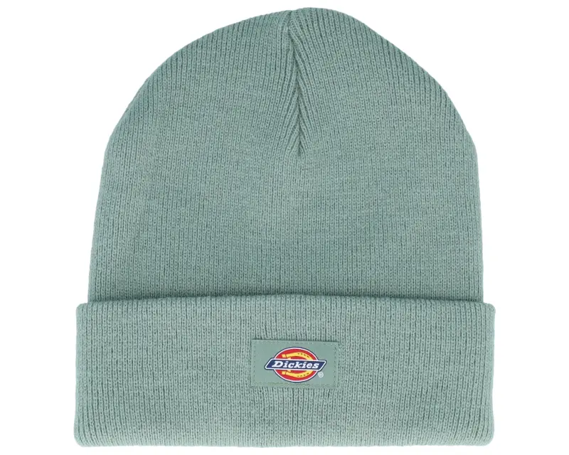 Dickies Gibsland Beanie Sea Spray Cuff online