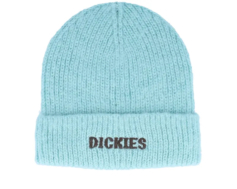 Dickies Hays Beanie Pastel Turquoise Cuff online