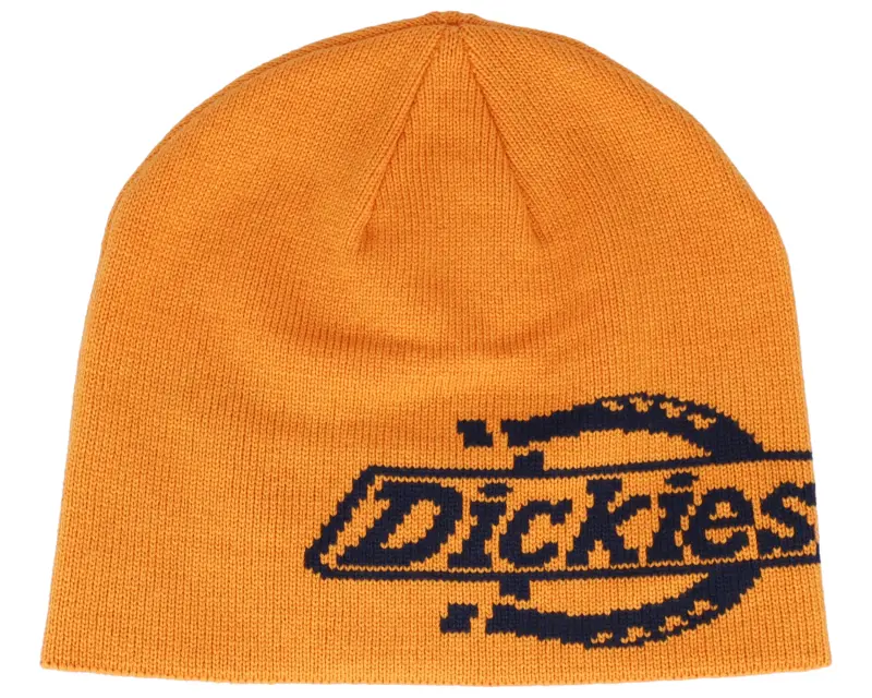Dickies Summerdale Logo Autumn Maple Beanie online