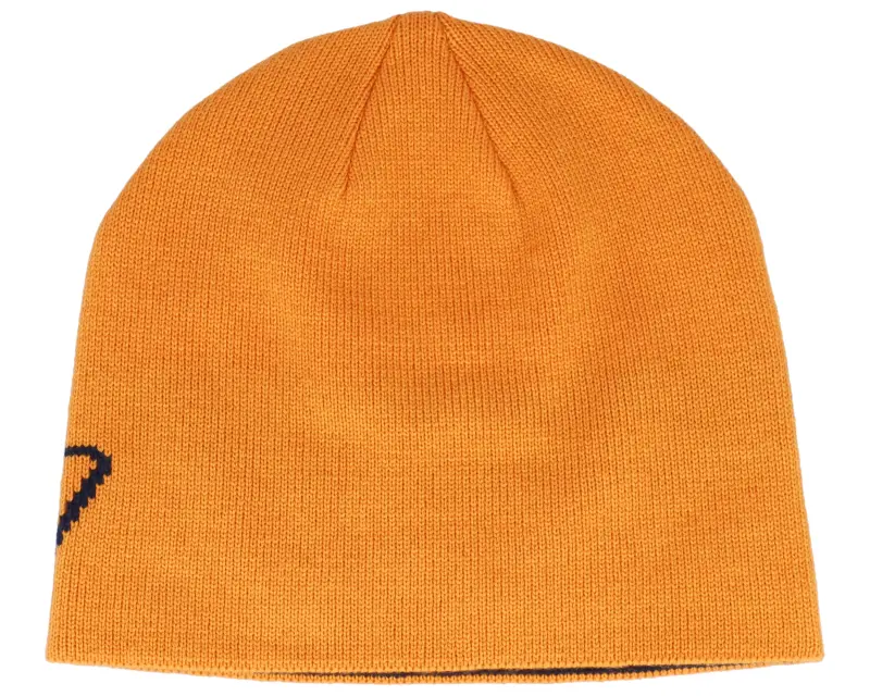 Dickies Summerdale Logo Autumn Maple Beanie online