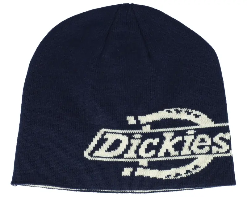 Dickies Summerdale Logo Night Sky Beanie online