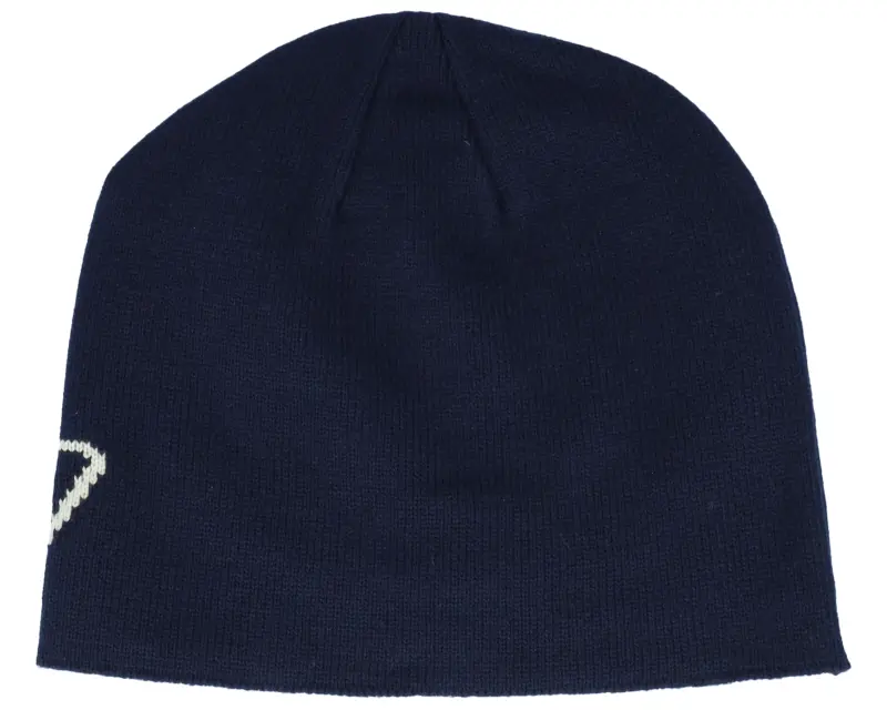 Dickies Summerdale Logo Night Sky Beanie online