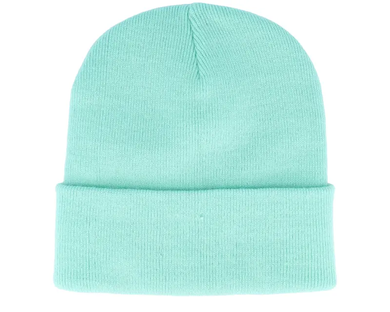 Iconic Alien Space Pizza Patch Mint Cuff Beanie online