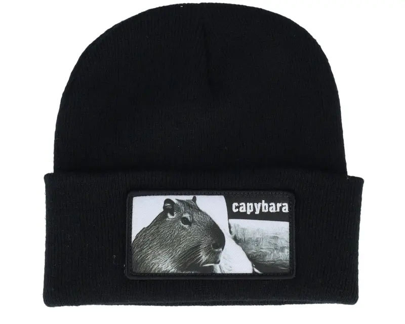 Iconic Capybara Sofa Beanie Black Cuff online