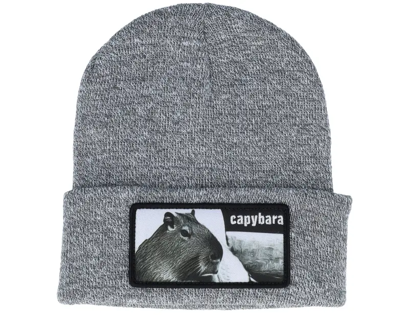 Iconic Capybara Sofa Beanie Heather Grey Cuff online