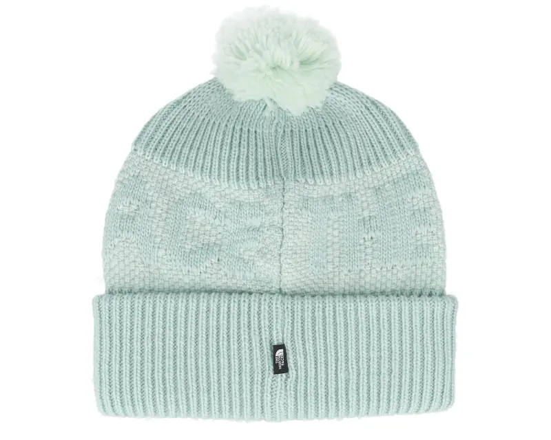 The North Face Retro Cabin Beanie Muted Pine/Pale Pom online