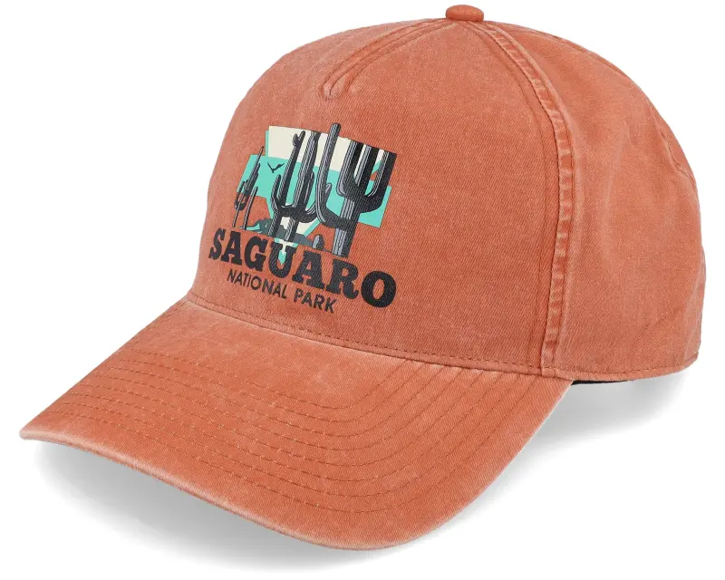 American Needle Saguaro Trailhead Oxide Dad Cap online