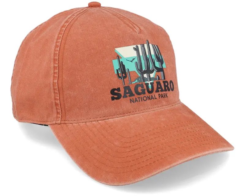 American Needle Saguaro Trailhead Oxide Dad Cap online