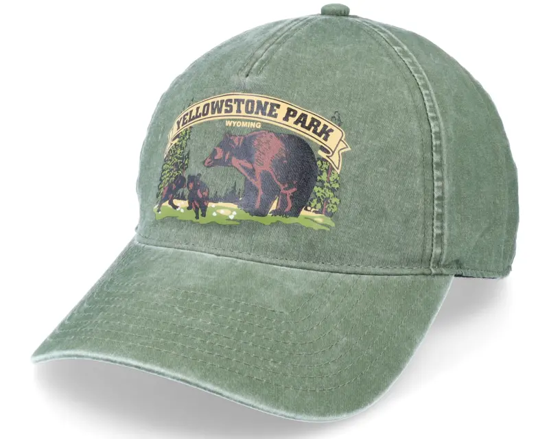 American Needle Yellowstone Trailhead Canopy Dad Cap online
