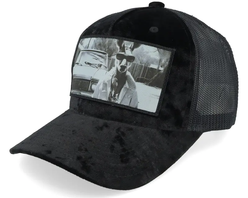 Calza Pennello Boss Kangaroo Velvet Black A-frame Trucker online