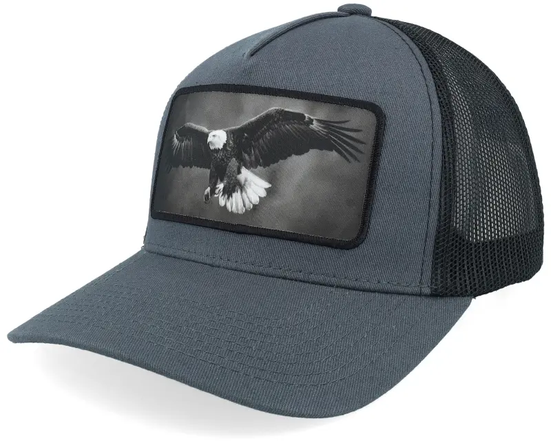 Calza Pennello Eagle Big Patch Grey/Black Trucker online