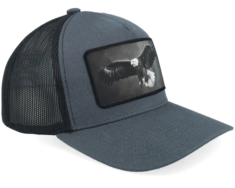 Calza Pennello Eagle Big Patch Grey/Black Trucker online