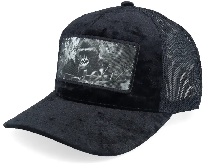 Calza Pennello Gorilla Big Patch Velvet Black Trucker online