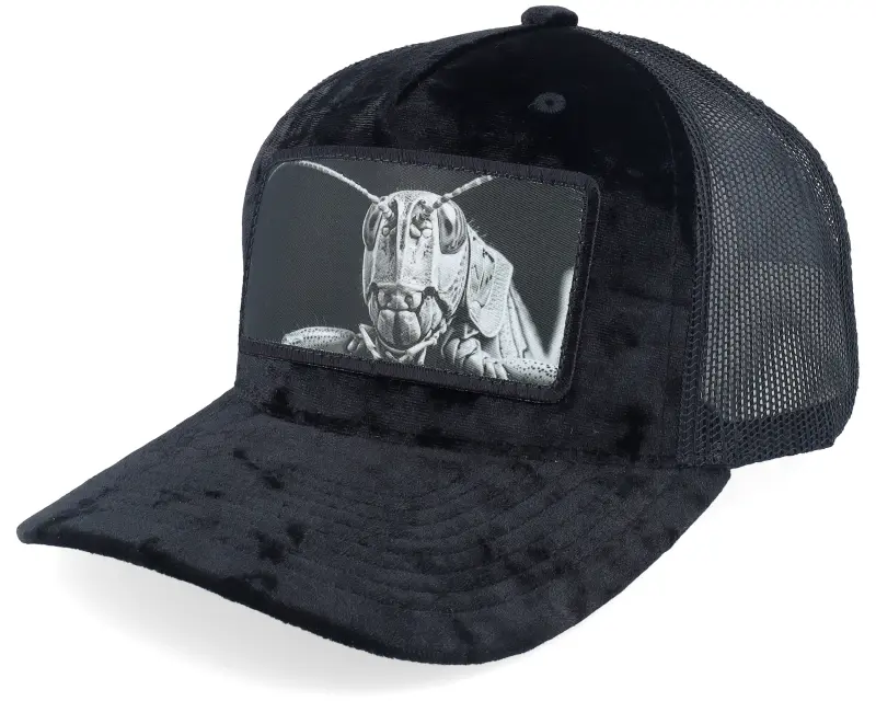 Calza Pennello Grasshopper Big Patch Black Velvet Trucker online