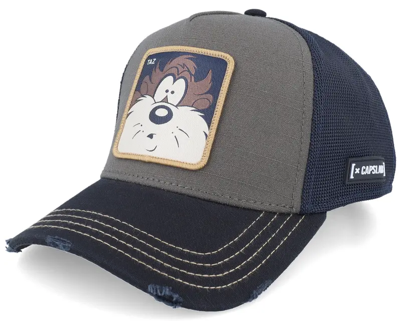 Capslab Looney Tunes Taz Brown/Black A-Frame Trucker online