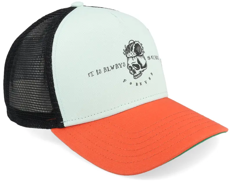 Coastal Hft Always Forever Slate/Orange A-Frame Trucker online