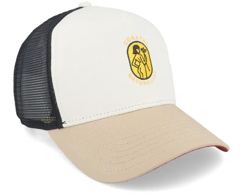 Coastal Naturalist Stone Trucker online
