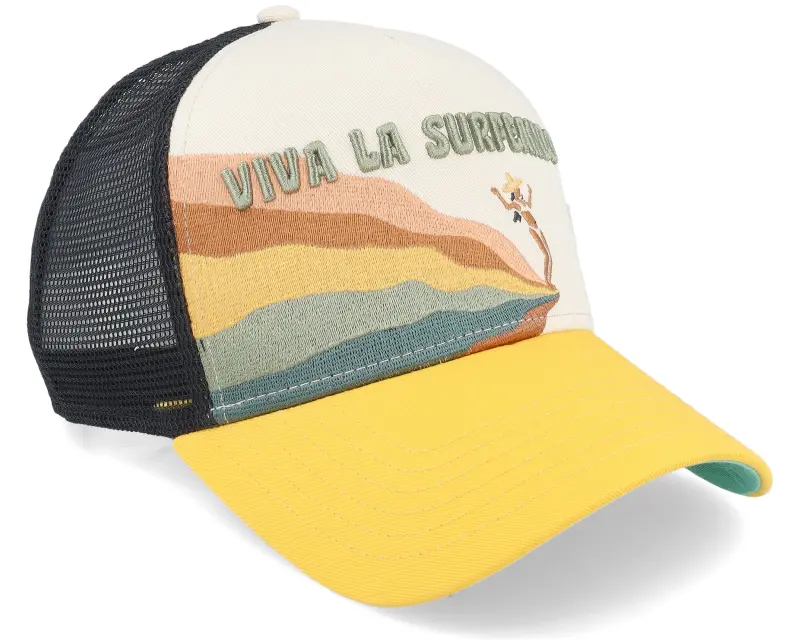 Coastal Surfeando Stone Coastal Trucker online