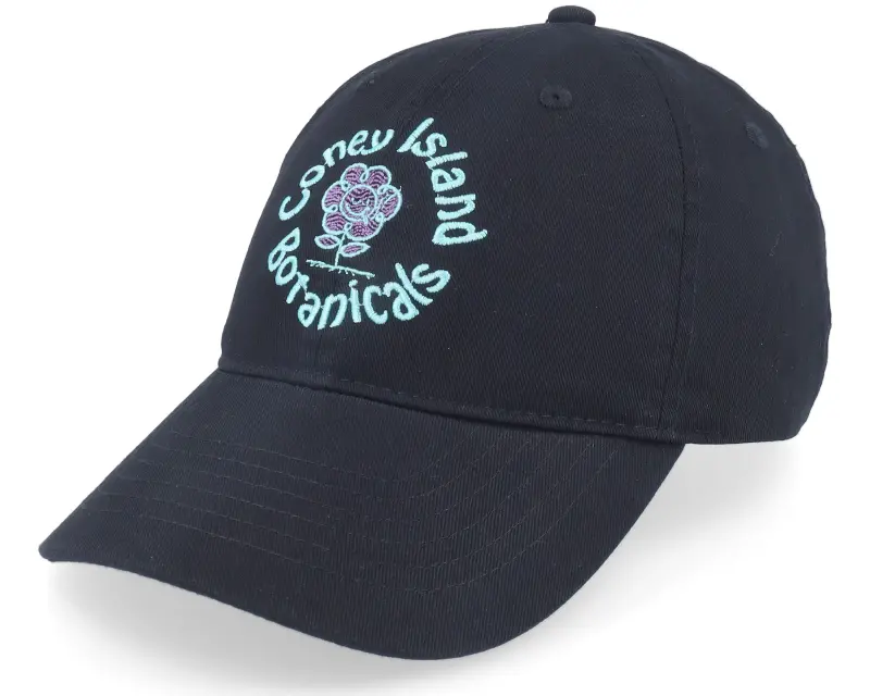 Coney Island Picnic Coney Islands Botanicals Black Dad Cap online