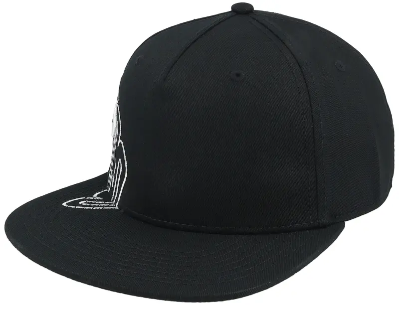 DC Dc Omega Cap Black Snapback online