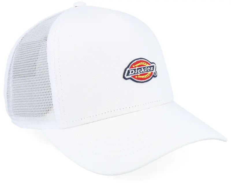 Dickies Hanston Cloud A-Frame Trucker online