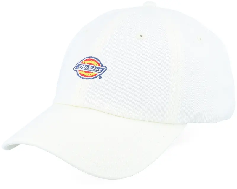 Dickies Hardwick Cloud Dad Cap online