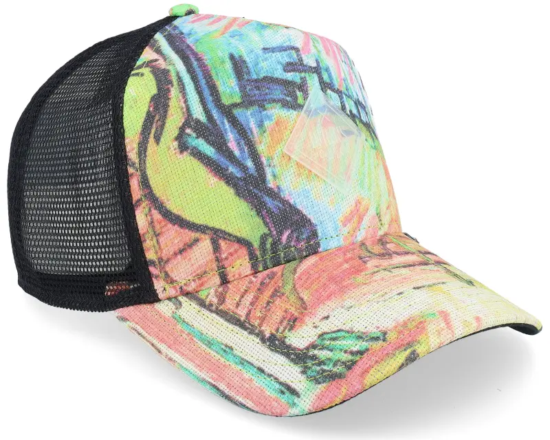 Djinns Painting Multi A-Frame/Black Trucker online