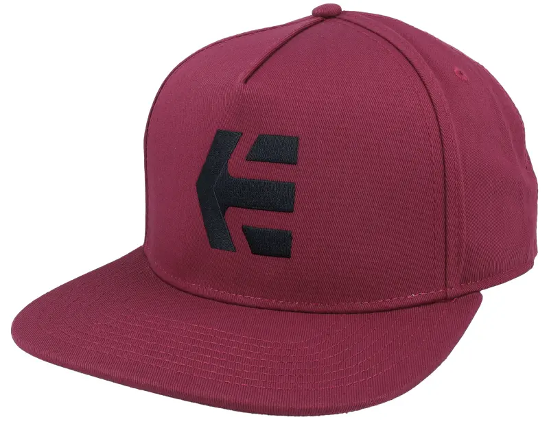 Etnies Icon Brick Snapback online