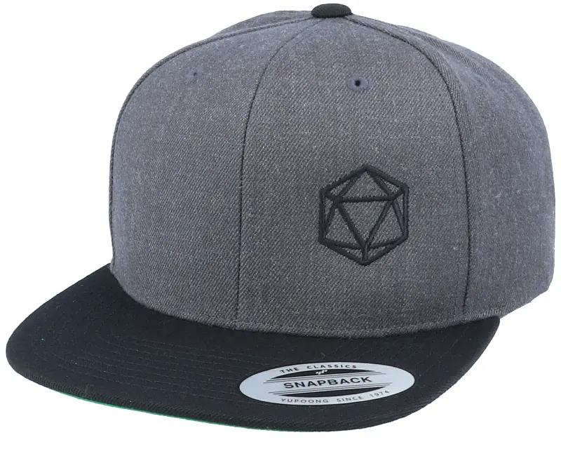 Gamerz Black D20 Side Panel Charcoal/Black Snapback online
