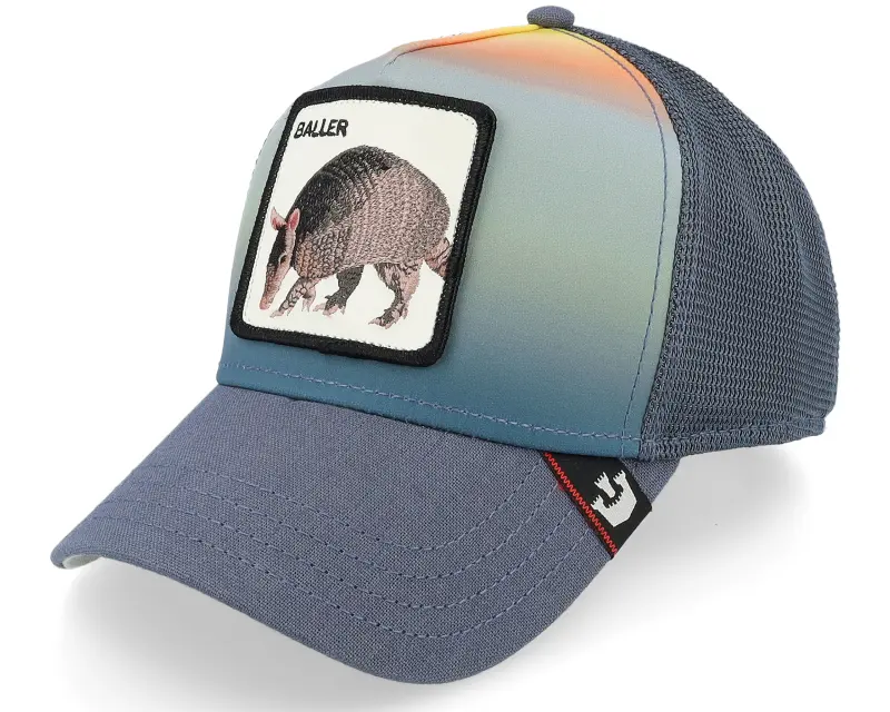 Goorin Bros. Balladillo Desert Skies Grey Trucker online