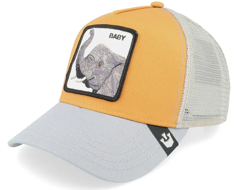 Goorin Bros. Hatstore Exclusive x Big Baby Yellow/Grey Trucker online