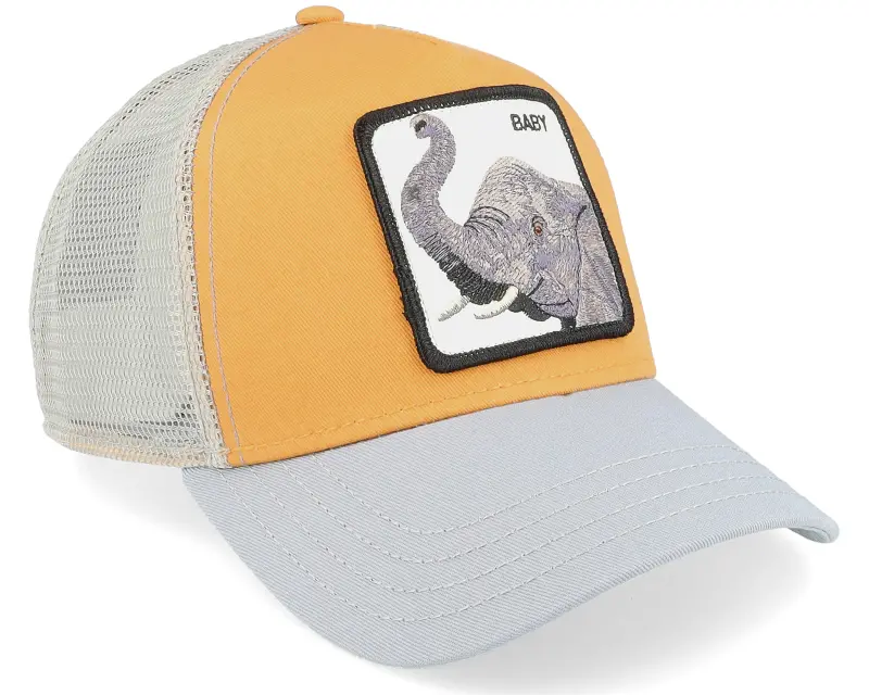 Goorin Bros. Hatstore Exclusive x Big Baby Yellow/Grey Trucker online