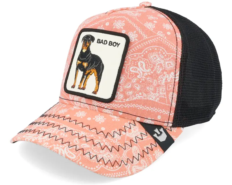 Goorin Bros. Lovesexy Paisley Pink/Black A-Frame Trucker online