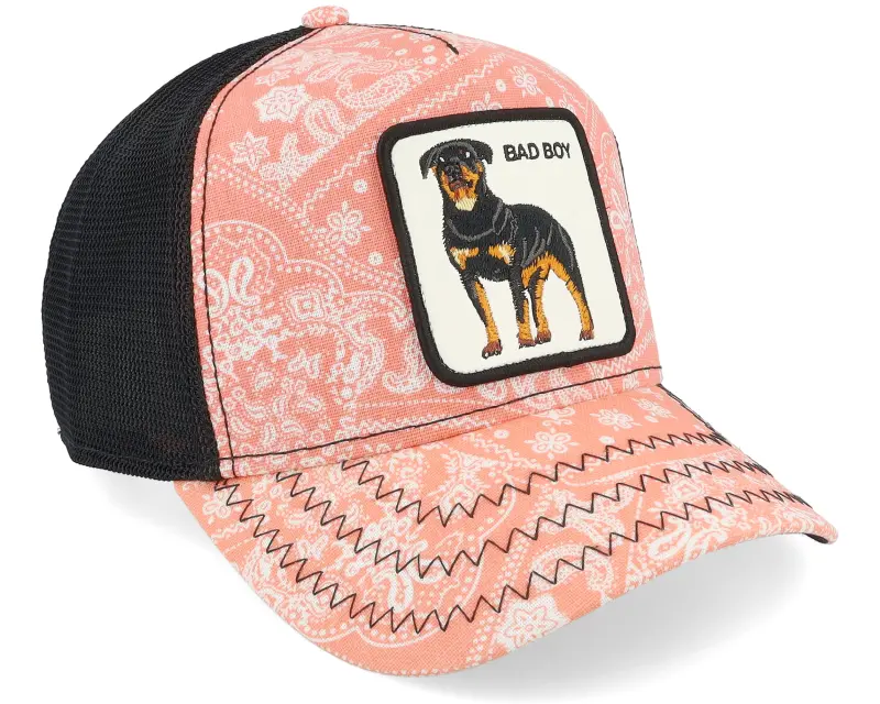 Goorin Bros. Lovesexy Paisley Pink/Black A-Frame Trucker online