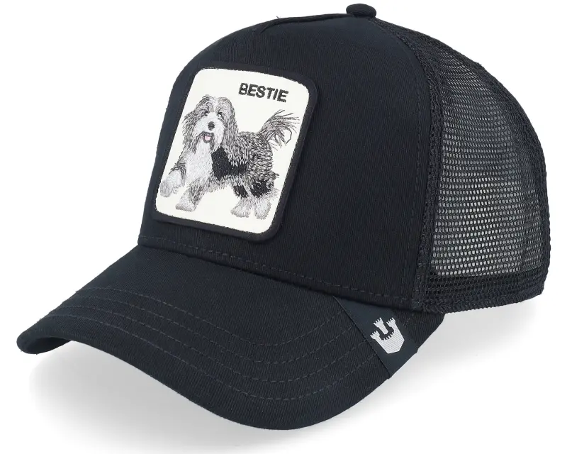 Goorin Bros. The Bestie Dog Seasonal Core Black A-Frame Trucker online
