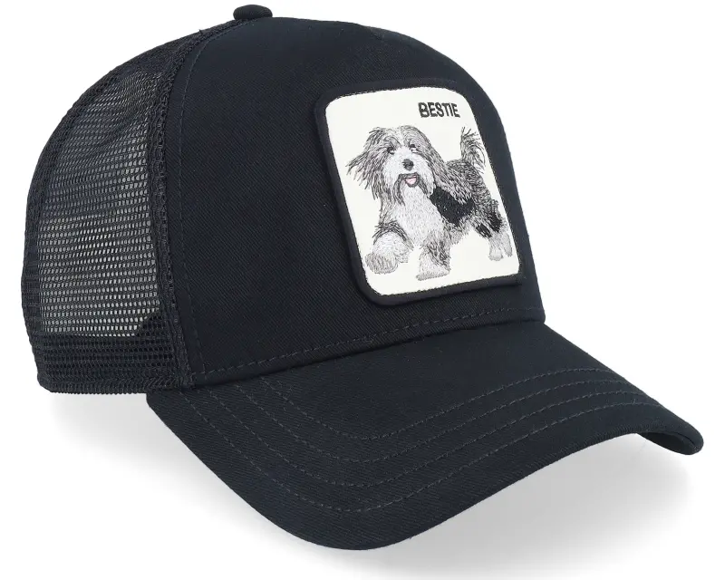 Goorin Bros. The Bestie Dog Seasonal Core Black A-Frame Trucker online