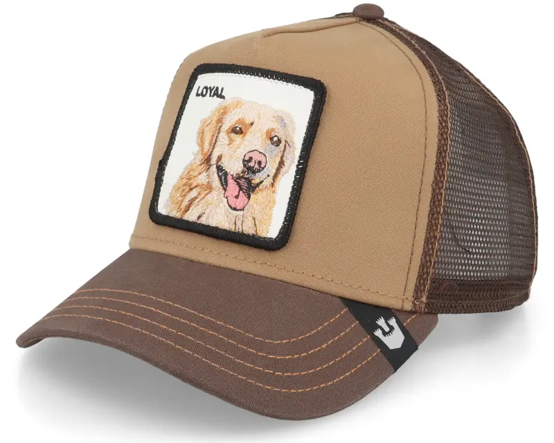 Goorin Bros. The Loyal Dog Brown Trucker online