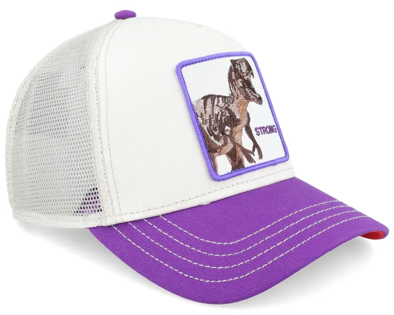 Goorin Bros. The Strong Dino Fab Farm A-Frame Trucker online
