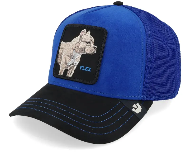 Goorin Suede Pitbull Royal/Void Black A-Frame Trucker online