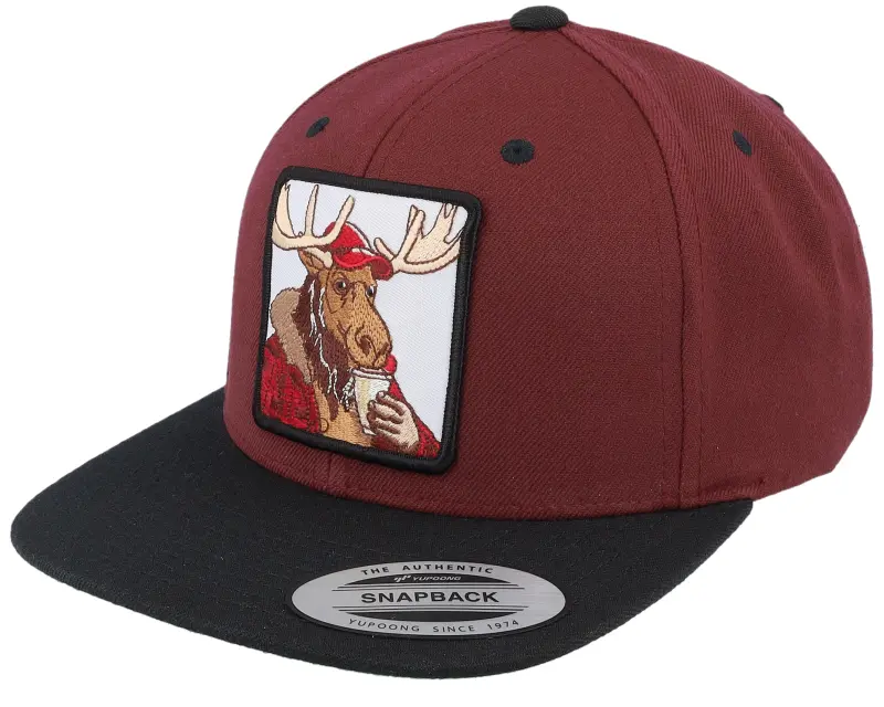 Hunter Moose Coffee Maroon/Black Snapback online