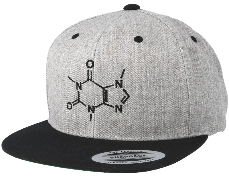 Iconic Caffeine Molecule Grey/Black Snapback online
