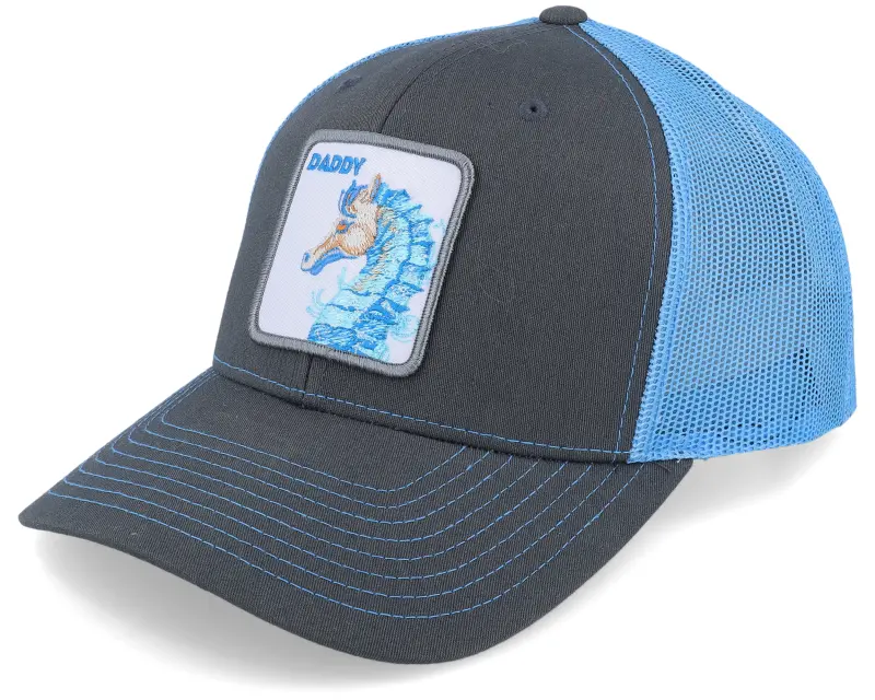 Iconic Daddy Seahorse 112 Split Charcoal/ Columbia Blue online