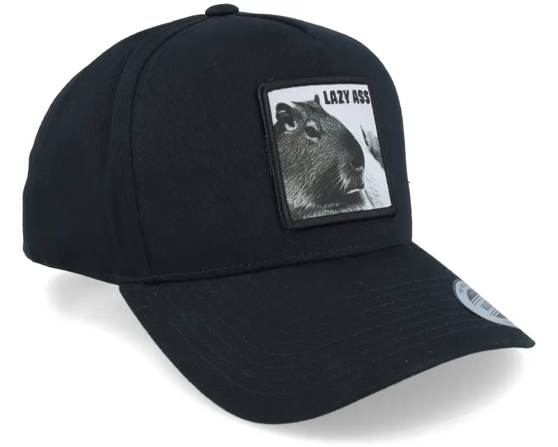 Iconic Lazy Capybara Black A-frame Adjustable online