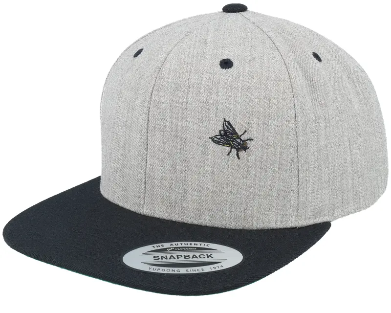 Iconic The Fly Heather Grey/Black Snapback online