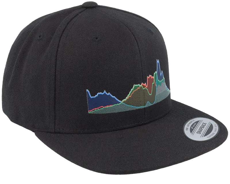 Iconic Waveform Black Snapback online