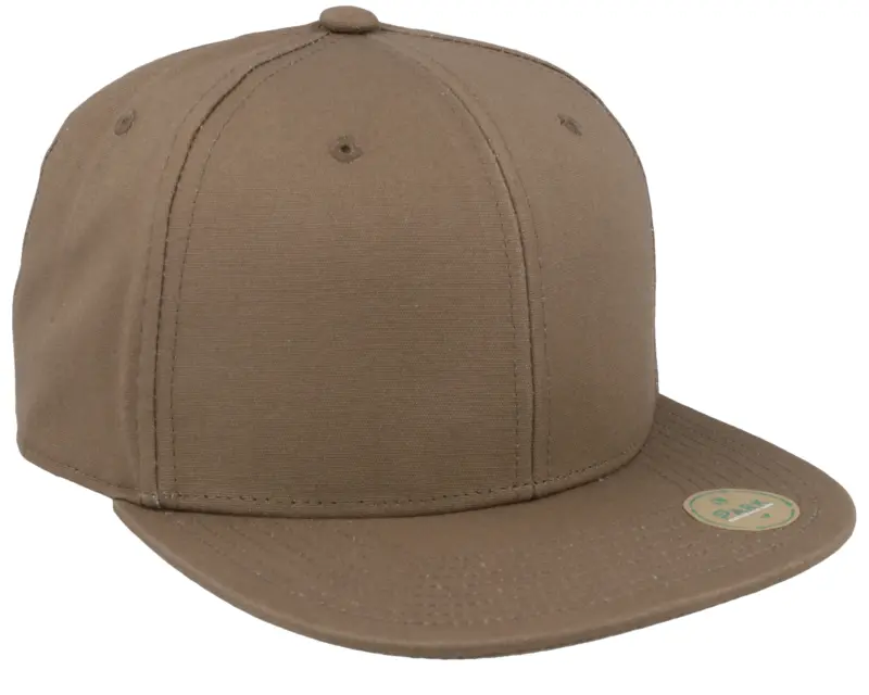 Park Brown Earth Sustainable Snapback online