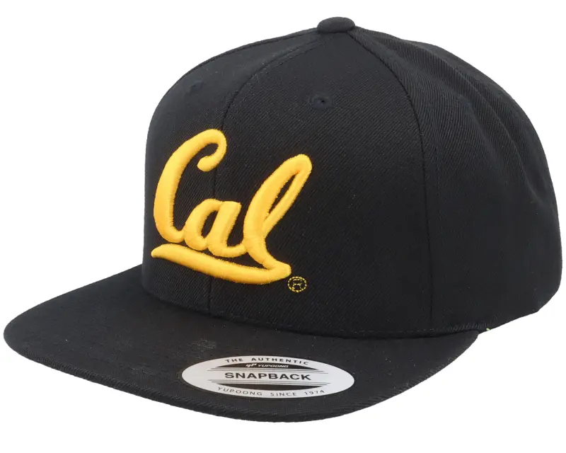 Park Fields Cal Bears 3d Logo Black Snapback online