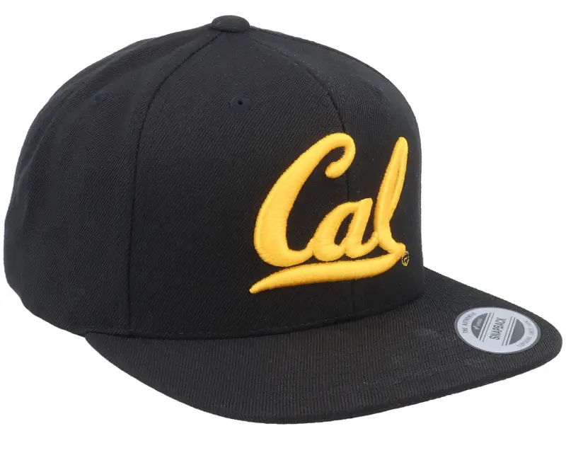 Park Fields Cal Bears 3d Logo Black Snapback online