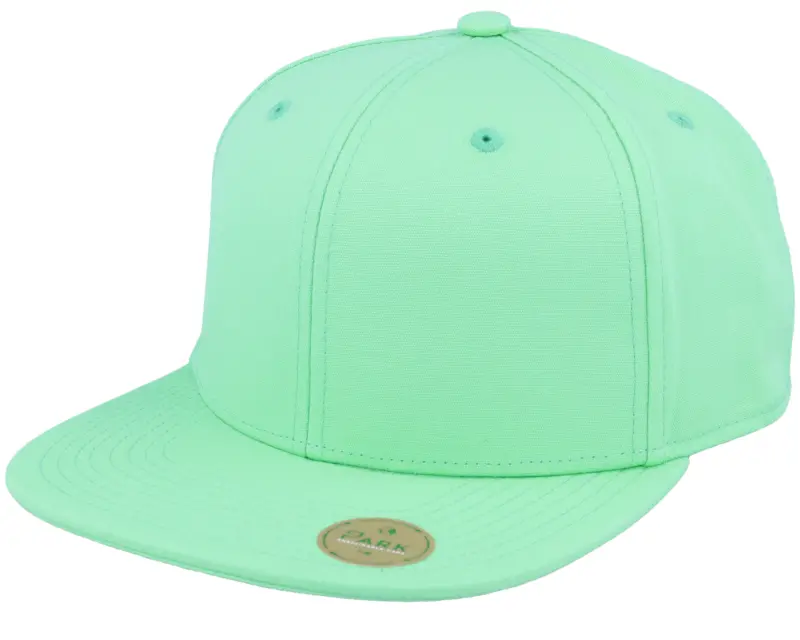 Park Teal Sustainable Snapback online